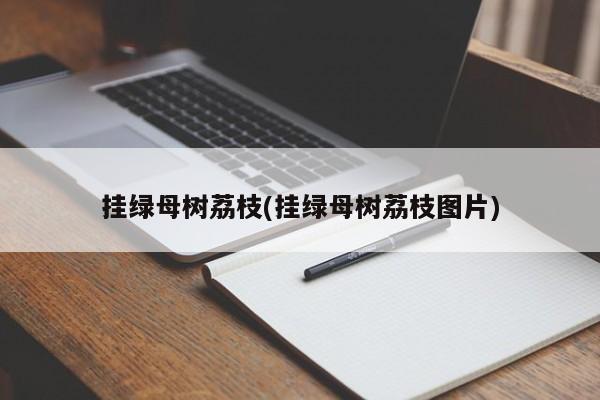 挂绿母树荔枝(挂绿母树荔枝图片)