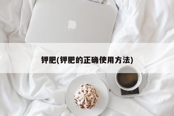 钾肥(钾肥的正确使用方法)