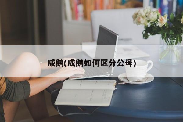 成鹅(成鹅如何区分公母)