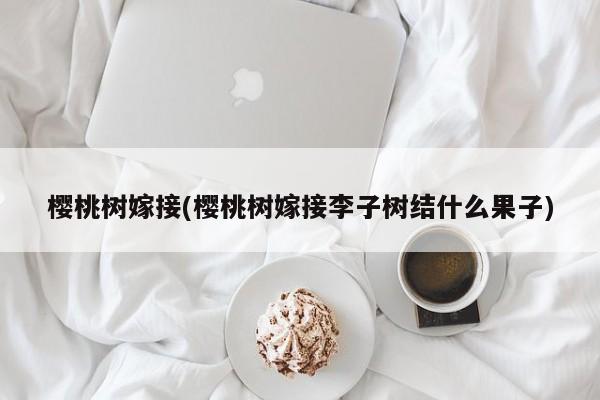 樱桃树嫁接(樱桃树嫁接李子树结什么果子)