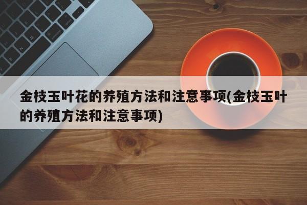 金枝玉叶花的养殖方法和注意事项(金枝玉叶的养殖方法和注意事项)