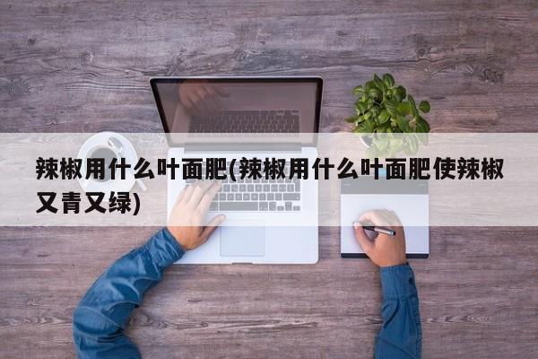 辣椒用什么叶面肥(辣椒用什么叶面肥使辣椒又青又绿)