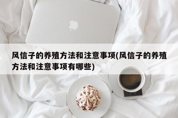 风信子的养殖方法和注意事项(风信子的养殖方法和注意事项有哪些)