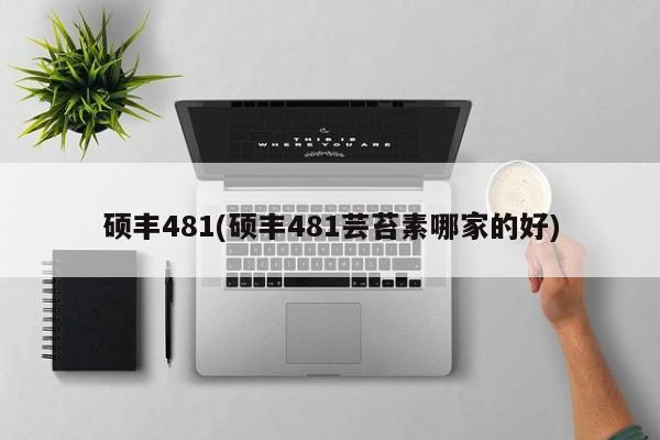 硕丰481(硕丰481芸苔素哪家的好)