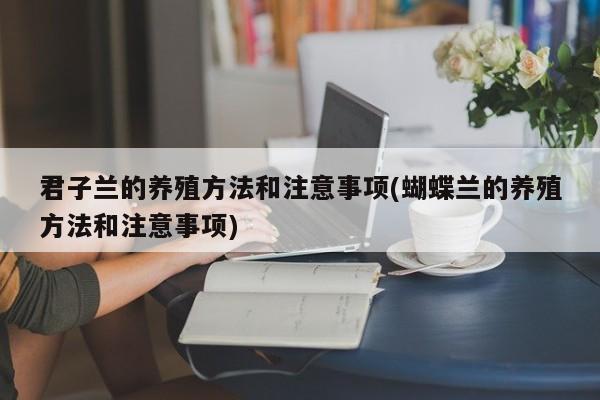 君子兰的养殖方法和注意事项(蝴蝶兰的养殖方法和注意事项)