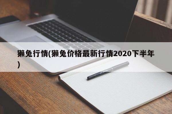 獭兔行情(獭兔价格最新行情2020下半年)