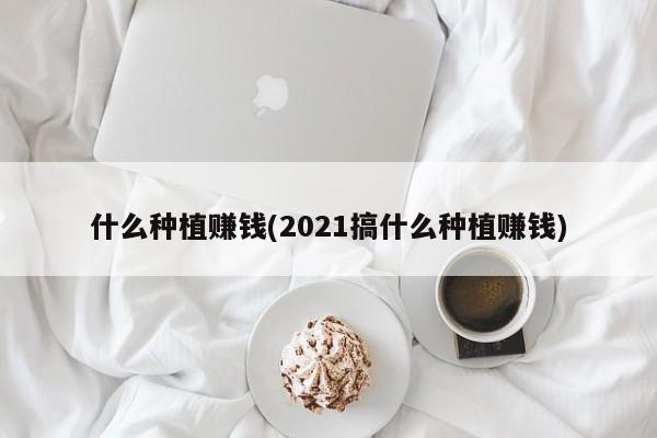 什么种植赚钱(2021搞什么种植赚钱)