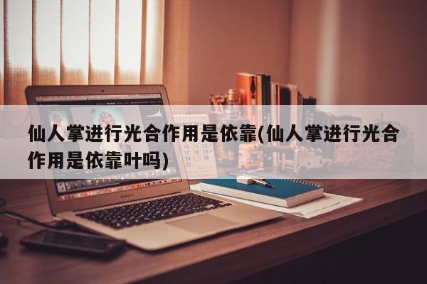 仙人掌进行光合作用是依靠(仙人掌进行光合作用是依靠叶吗)