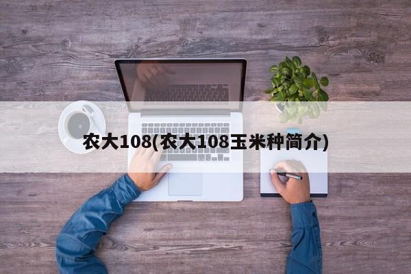 农大108(农大108玉米种简介)