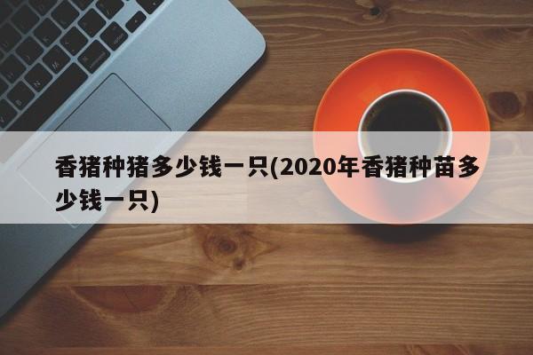 香猪种猪多少钱一只(2020年香猪种苗多少钱一只)