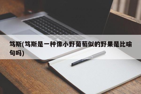 笃斯(笃斯是一种像小野葡萄似的野果是比喻句吗)