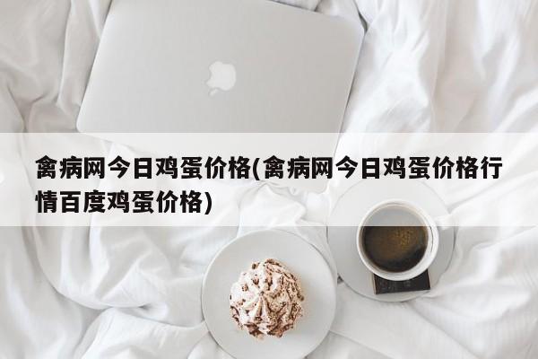 禽病网今日鸡蛋价格(禽病网今日鸡蛋价格行情百度鸡蛋价格)