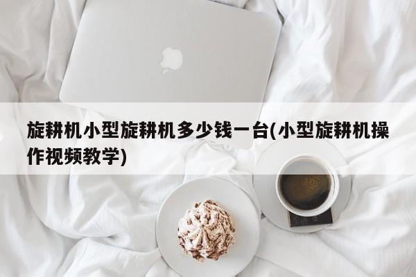 旋耕机小型旋耕机多少钱一台(小型旋耕机操作视频教学)