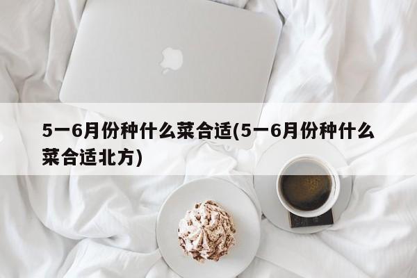 5一6月份种什么菜合适(5一6月份种什么菜合适北方)