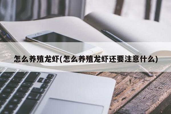 怎么养殖龙虾(怎么养殖龙虾还要注意什么)