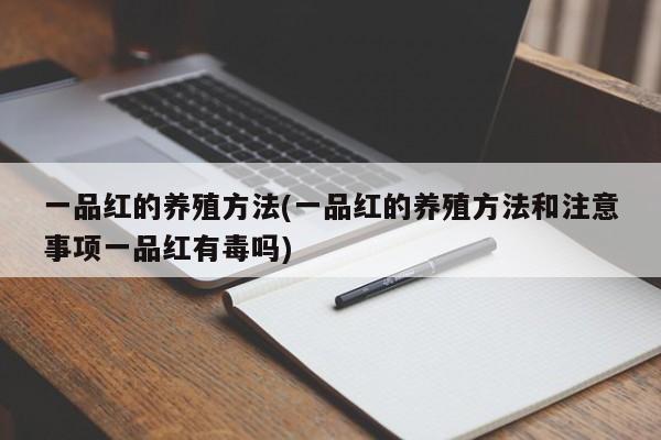 一品红的养殖方法(一品红的养殖方法和注意事项一品红有毒吗)