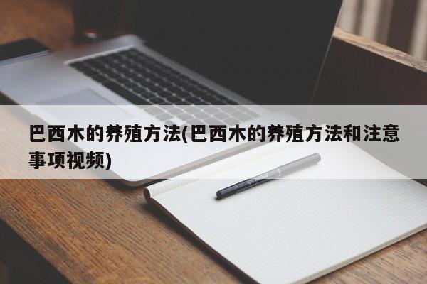 巴西木的养殖方法(巴西木的养殖方法和注意事项视频)