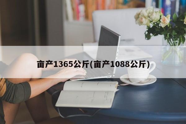 亩产1365公斤(亩产1088公斤)