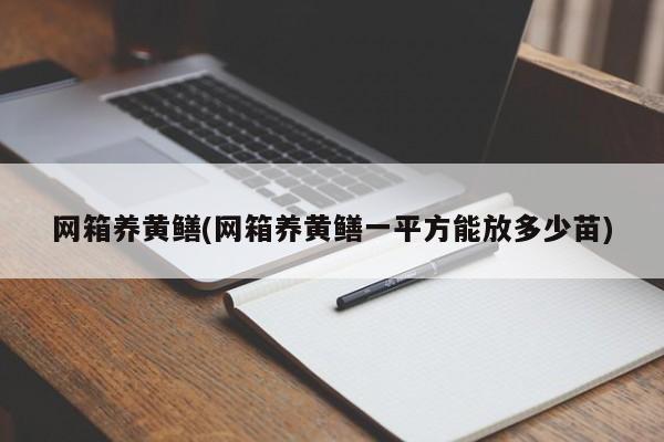 网箱养黄鳝(网箱养黄鳝一平方能放多少苗)