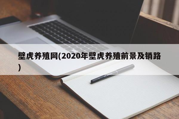 壁虎养殖网(2020年壁虎养殖前景及销路)