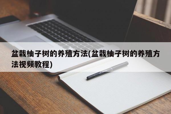 盆栽柚子树的养殖方法(盆栽柚子树的养殖方法视频教程)