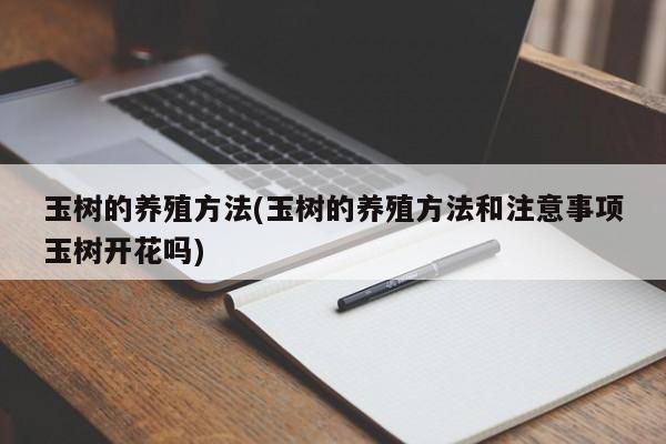 玉树的养殖方法(玉树的养殖方法和注意事项玉树开花吗)