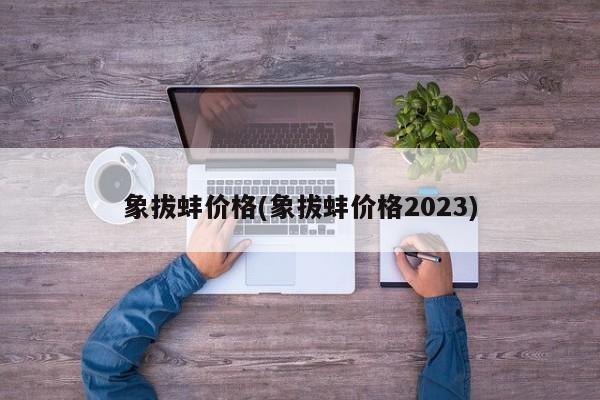 象拔蚌价格(象拔蚌价格2023)