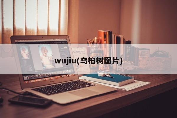 wujiu(乌桕树图片)