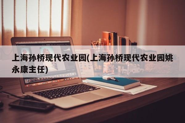 上海孙桥现代农业园(上海孙桥现代农业园姚永康主任)