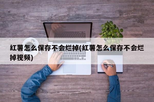 红薯怎么保存不会烂掉(红薯怎么保存不会烂掉视频)