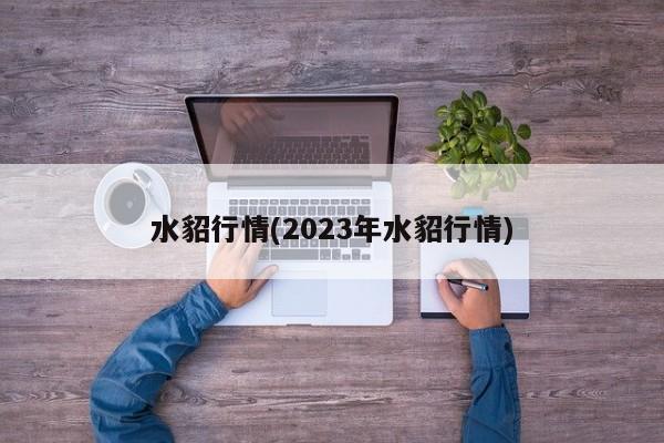 水貂行情(2023年水貂行情)