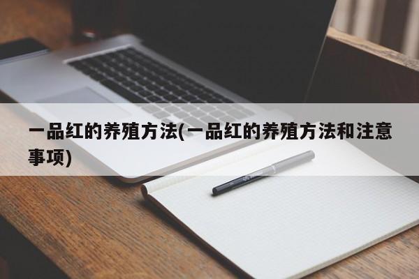 一品红的养殖方法(一品红的养殖方法和注意事项)