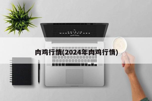 肉鸡行情(2024年肉鸡行情)