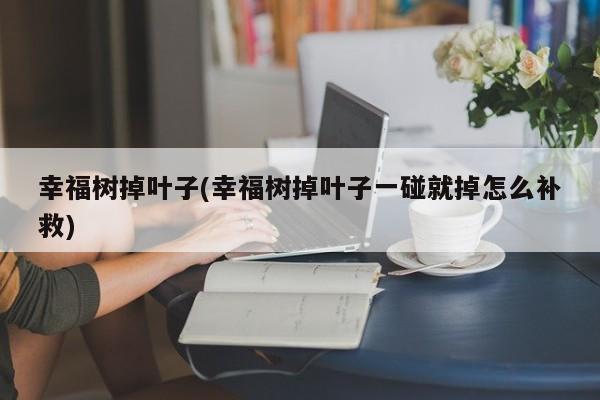 幸福树掉叶子(幸福树掉叶子一碰就掉怎么补救)