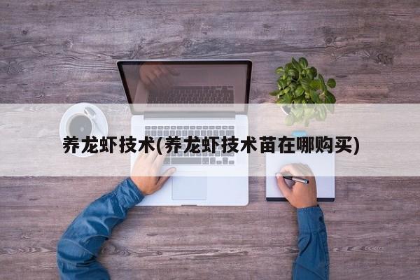 养龙虾技术(养龙虾技术苗在哪购买)