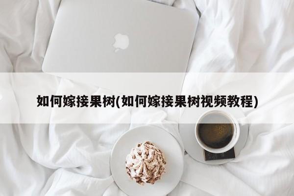 如何嫁接果树(如何嫁接果树视频教程)