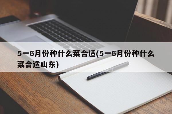 5一6月份种什么菜合适(5一6月份种什么菜合适山东)