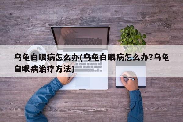 乌龟白眼病怎么办(乌龟白眼病怎么办?乌龟白眼病治疗方法)