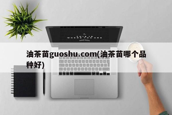 油茶苗guoshu.com(油茶苗哪个品种好)