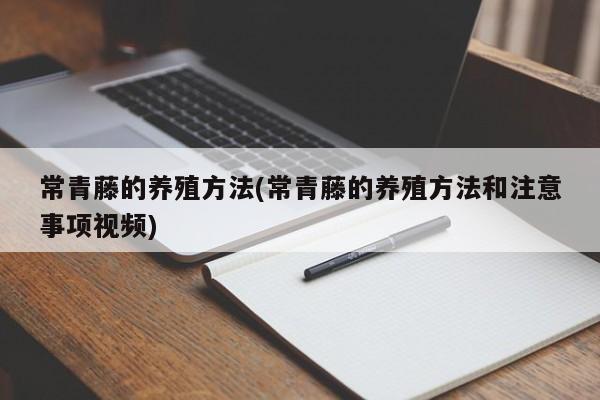 常青藤的养殖方法(常青藤的养殖方法和注意事项视频)