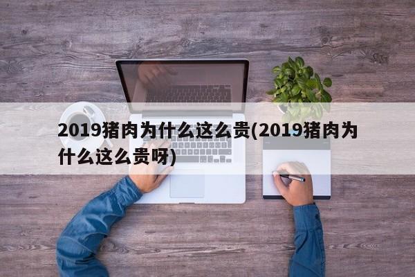 2019猪肉为什么这么贵(2019猪肉为什么这么贵呀)