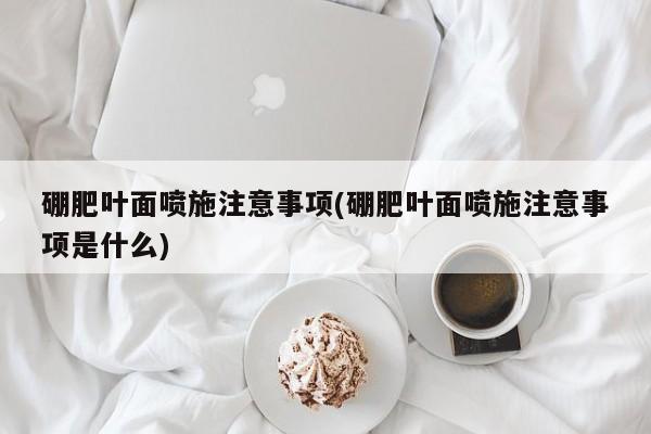 硼肥叶面喷施注意事项(硼肥叶面喷施注意事项是什么)