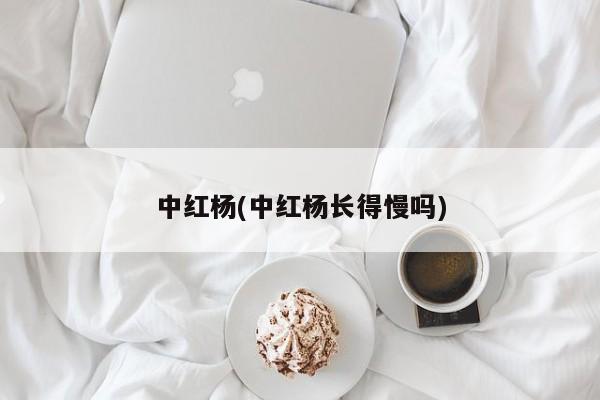 中红杨(中红杨长得慢吗)