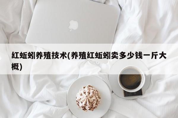 红蚯蚓养殖技术(养殖红蚯蚓卖多少钱一斤大概)