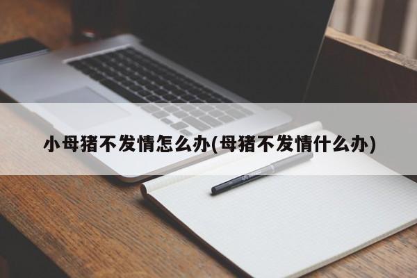 小母猪不发情怎么办(母猪不发情什么办)