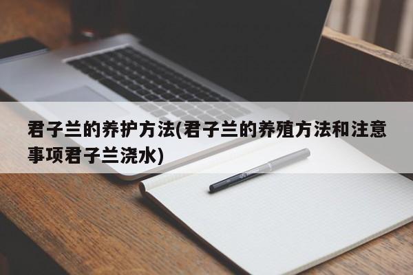 君子兰的养护方法(君子兰的养殖方法和注意事项君子兰浇水)