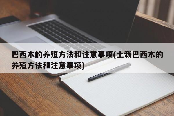 巴西木的养殖方法和注意事项(土栽巴西木的养殖方法和注意事项)