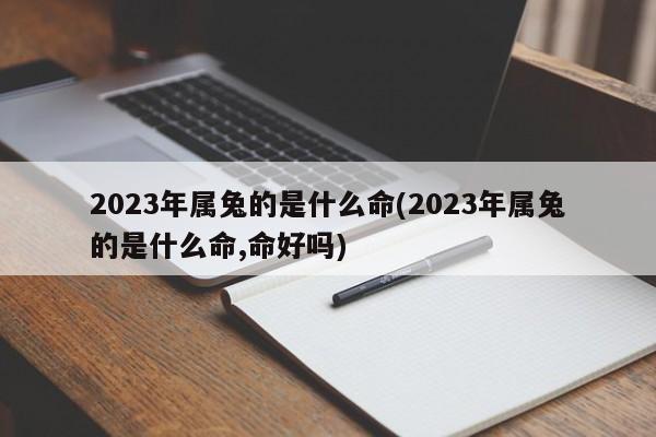 2023年属兔的是什么命(2023年属兔的是什么命,命好吗)