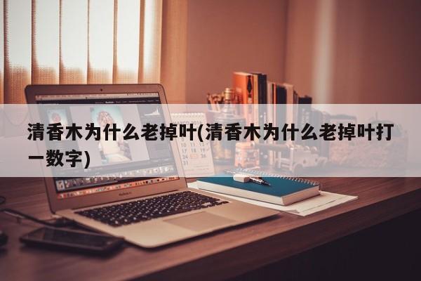 清香木为什么老掉叶(清香木为什么老掉叶打一数字)