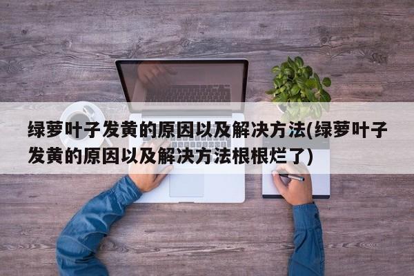 绿萝叶子发黄的原因以及解决方法(绿萝叶子发黄的原因以及解决方法根根烂了)